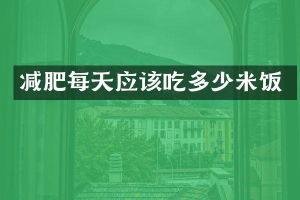 减肥每天应该吃多少米饭