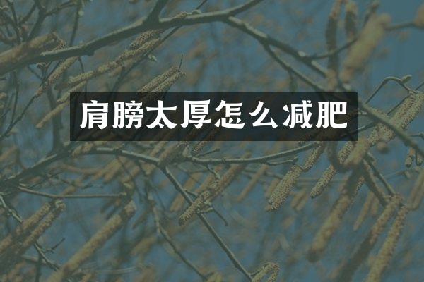 肩膀太厚怎么减肥