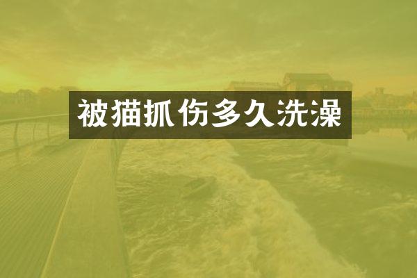 被猫抓伤多久洗澡