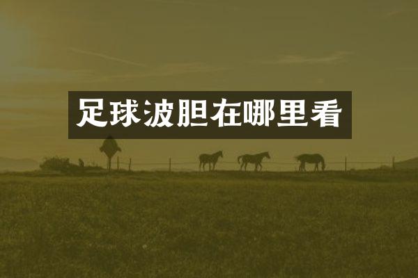 足球波胆在哪里看