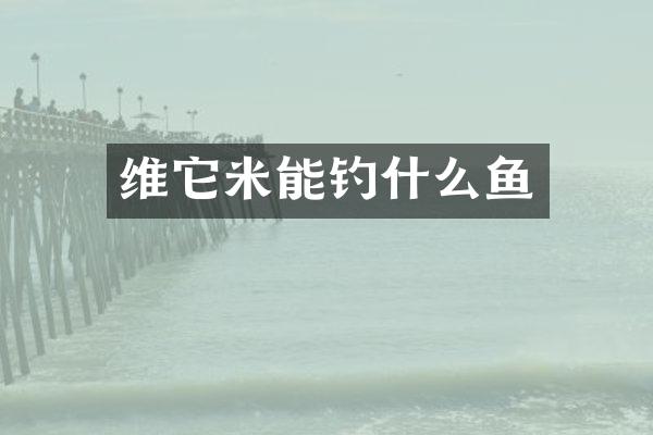 维它米能钓什么鱼