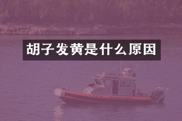 胡子发黄是什么原因