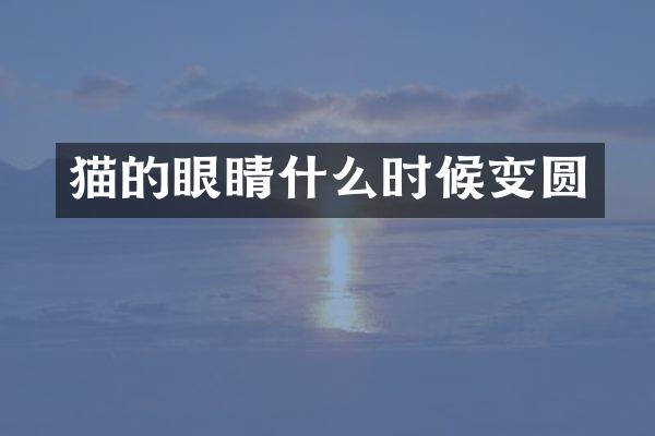猫的眼睛什么时候变圆