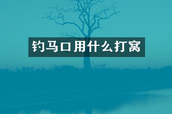 钓马口用什么打窝