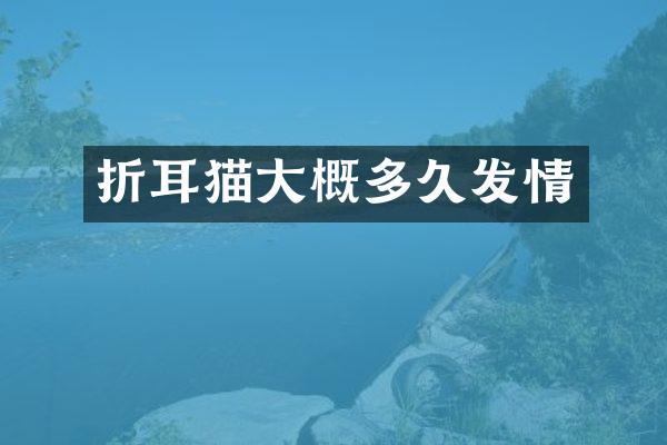 折耳猫大概多久发情