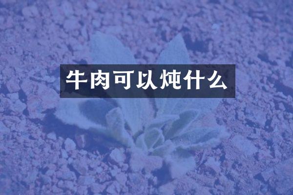 牛肉可以炖什么