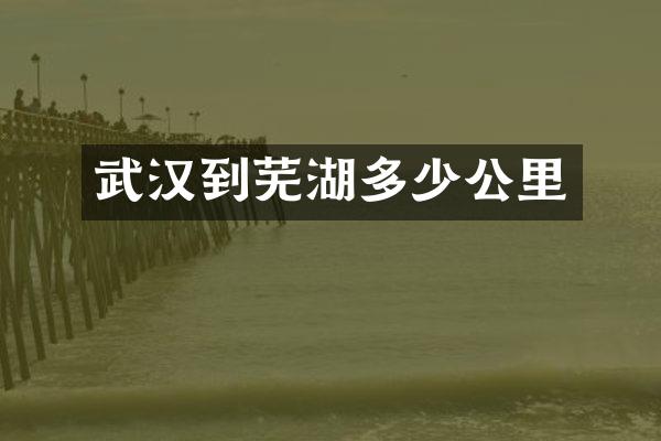 武汉到芜湖多少公里