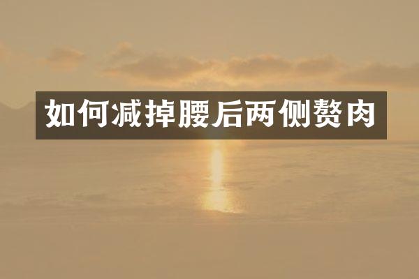 如何减掉腰后两侧赘肉