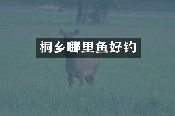 桐乡哪里鱼好钓