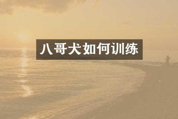 八哥犬如何训练