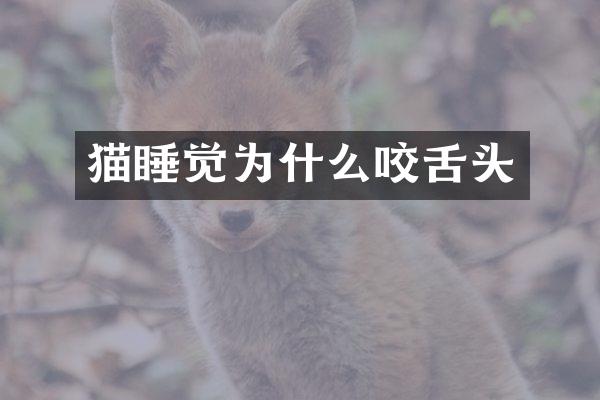 猫睡觉为什么咬舌头