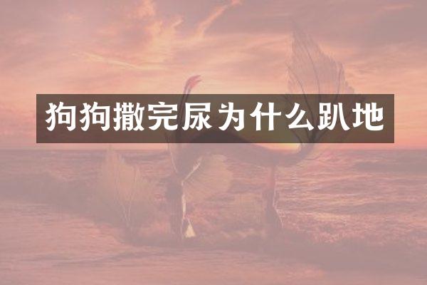 狗狗撒完尿为什么趴地