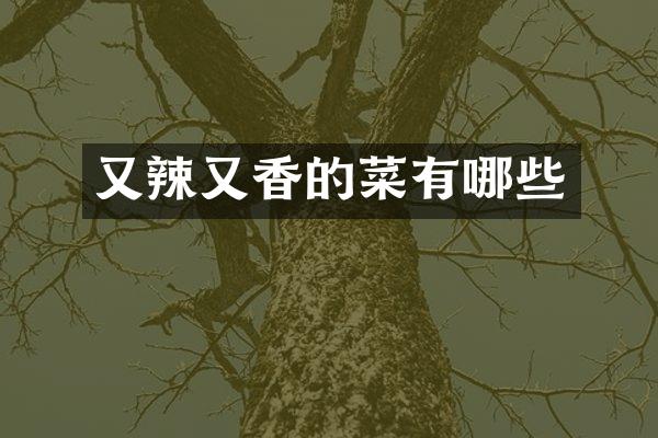 又辣又香的菜有哪些