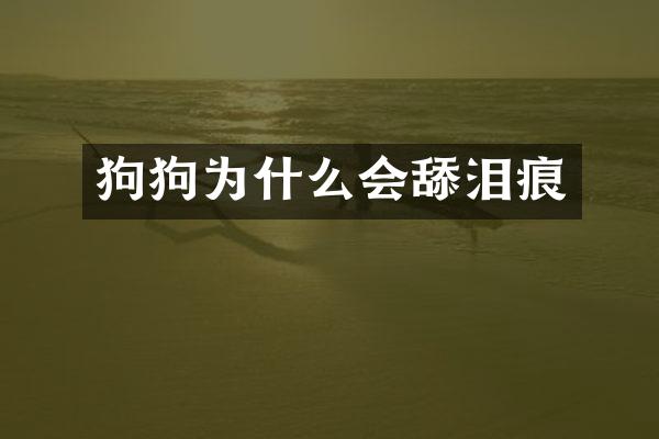 狗狗为什么会舔泪痕