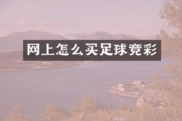 网上怎么买足球竞彩