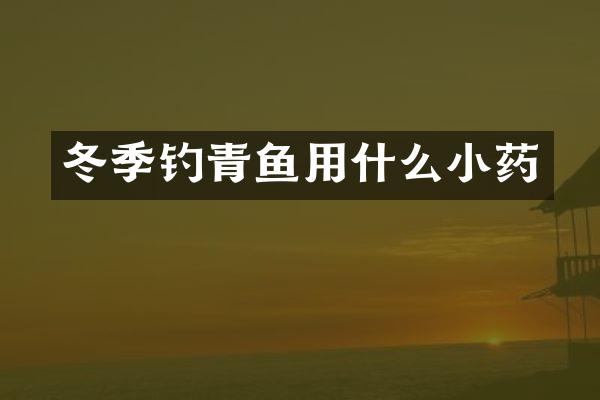 冬季钓青鱼用什么小药