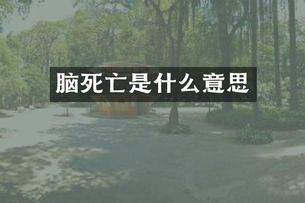 脑死亡是什么意思