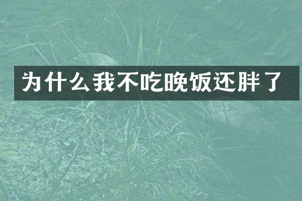 为什么我不吃晚饭还胖了