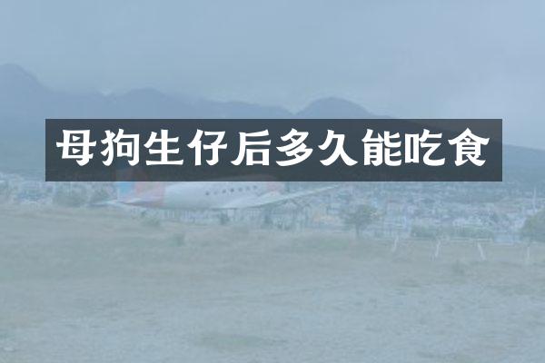 母狗生仔后多久能吃食