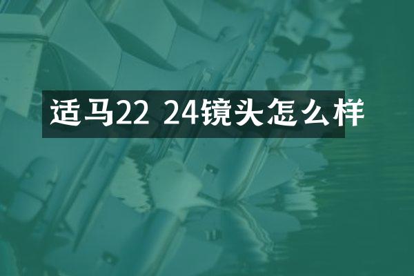 适马22 24镜头怎么样