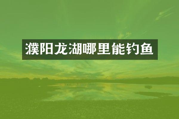 濮阳龙湖哪里能钓鱼