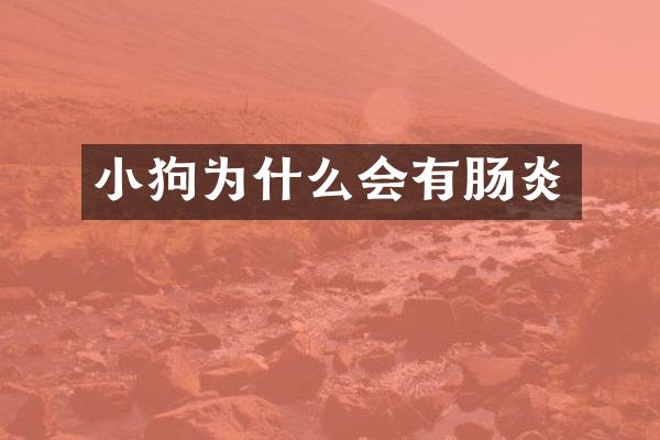 小狗为什么会有肠炎
