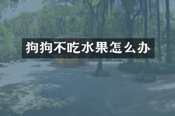 狗狗不吃水果怎么办