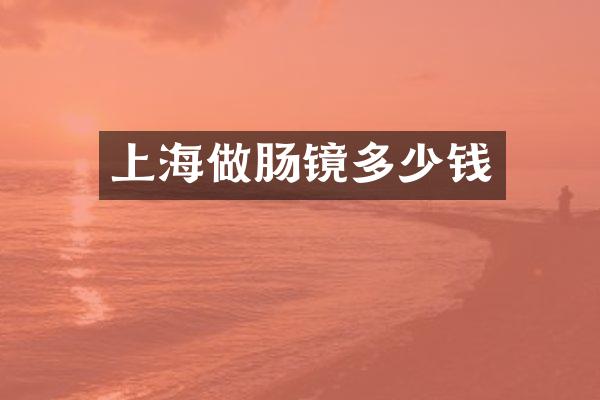 上海做肠镜多少钱