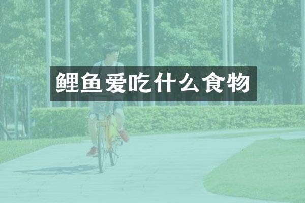 鲤鱼爱吃什么食物