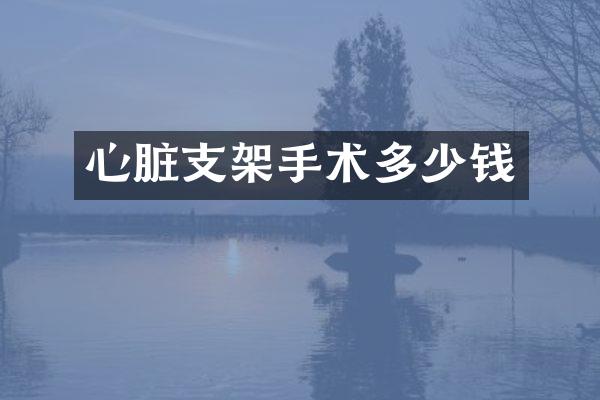 心脏支架手术多少钱