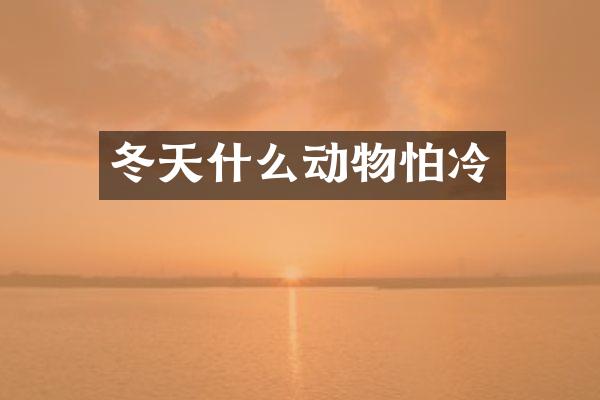 冬天什么动物怕冷