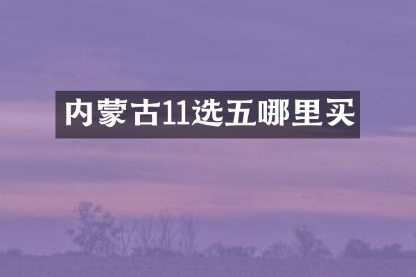 内蒙古11选五哪里买