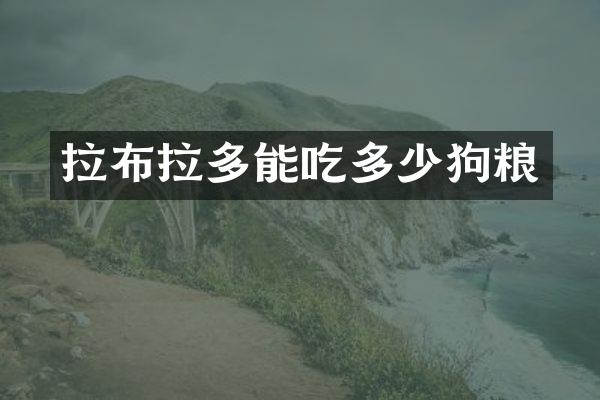 拉布拉多能吃多少狗粮