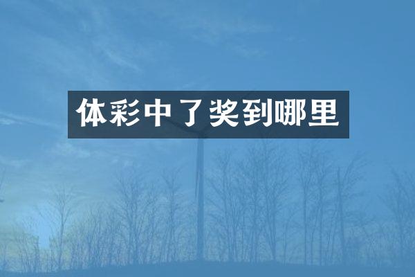 体彩中了奖到哪里