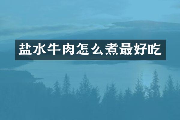 盐水牛肉怎么煮最好吃