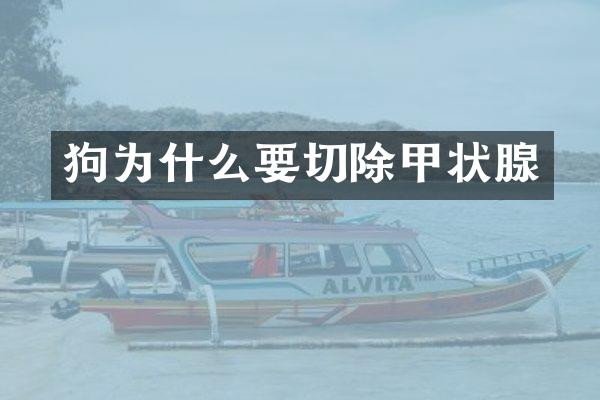 狗为什么要切除甲状腺
