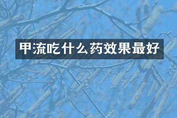 甲流吃什么药效果最好