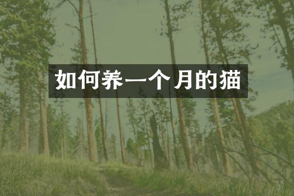 如何养一个月的猫