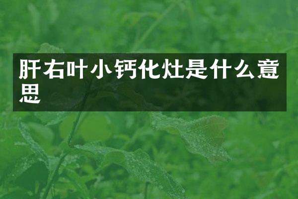 肝右叶小钙化灶是什么意思