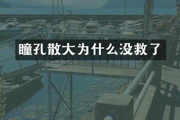 瞳孔散大为什么没救了