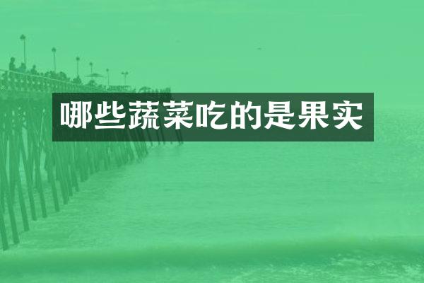 哪些蔬菜吃的是果实