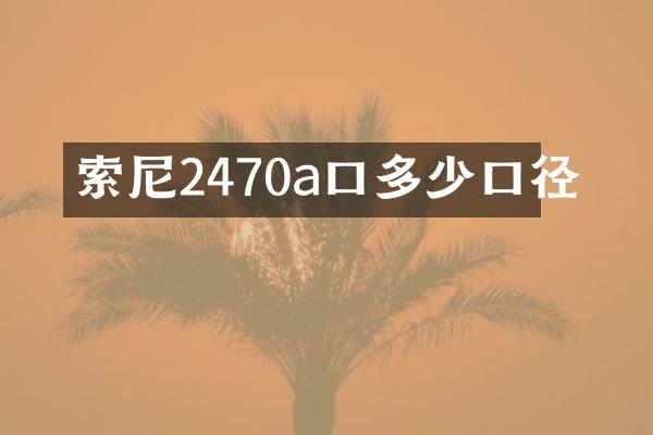 索尼2470a口多少口径
