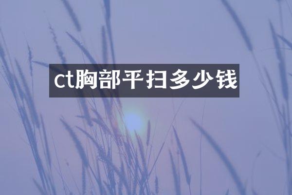 ct胸部平扫多少钱