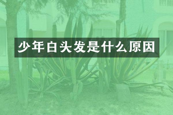 少年白头发是什么原因
