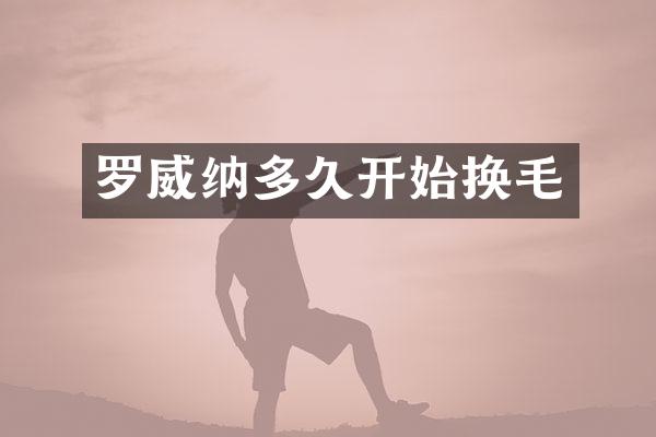 罗威纳多久开始换毛