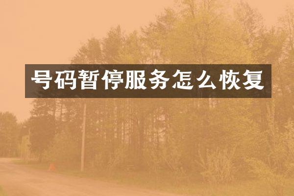 号码暂停服务怎么恢复
