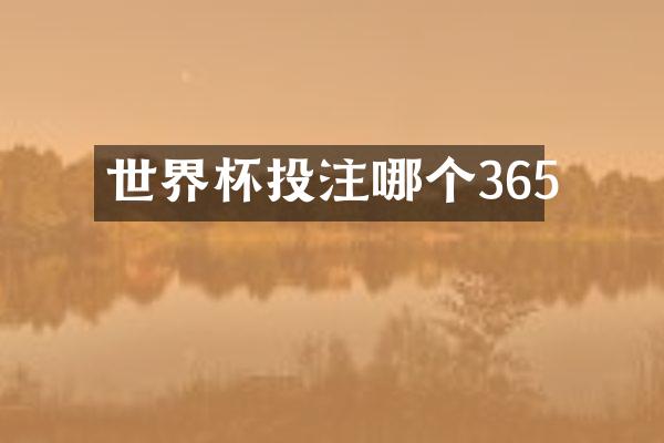 世界杯投注哪个365