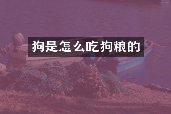 狗是怎么吃狗粮的