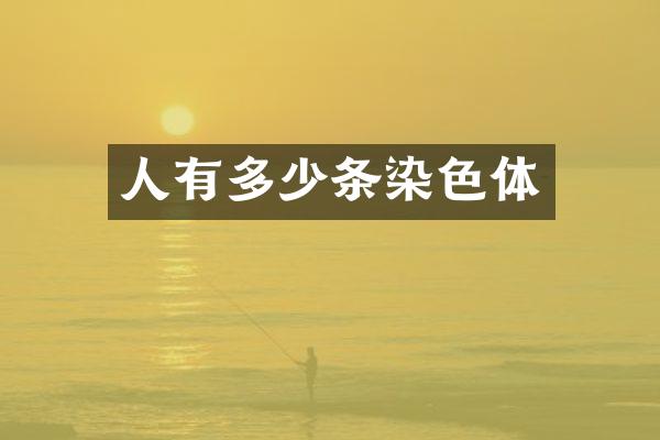 人有多少条染色体