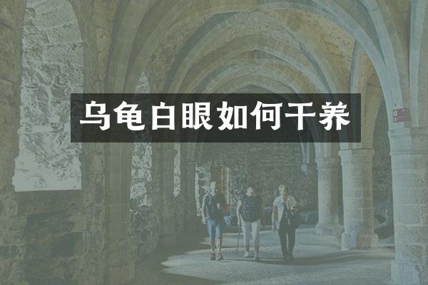 乌龟白眼如何干养